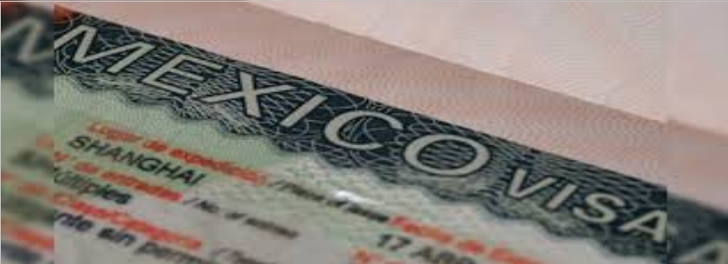 Applying for a Permanent Visa