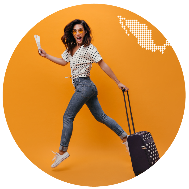 immigration lawyers puerto vallarta